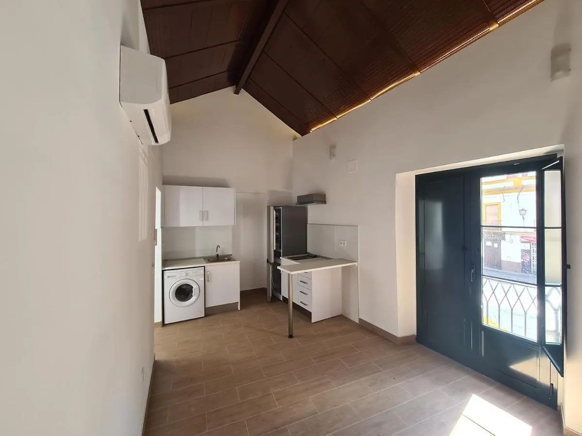 Casa Plaza De San Roman Seville Apartment