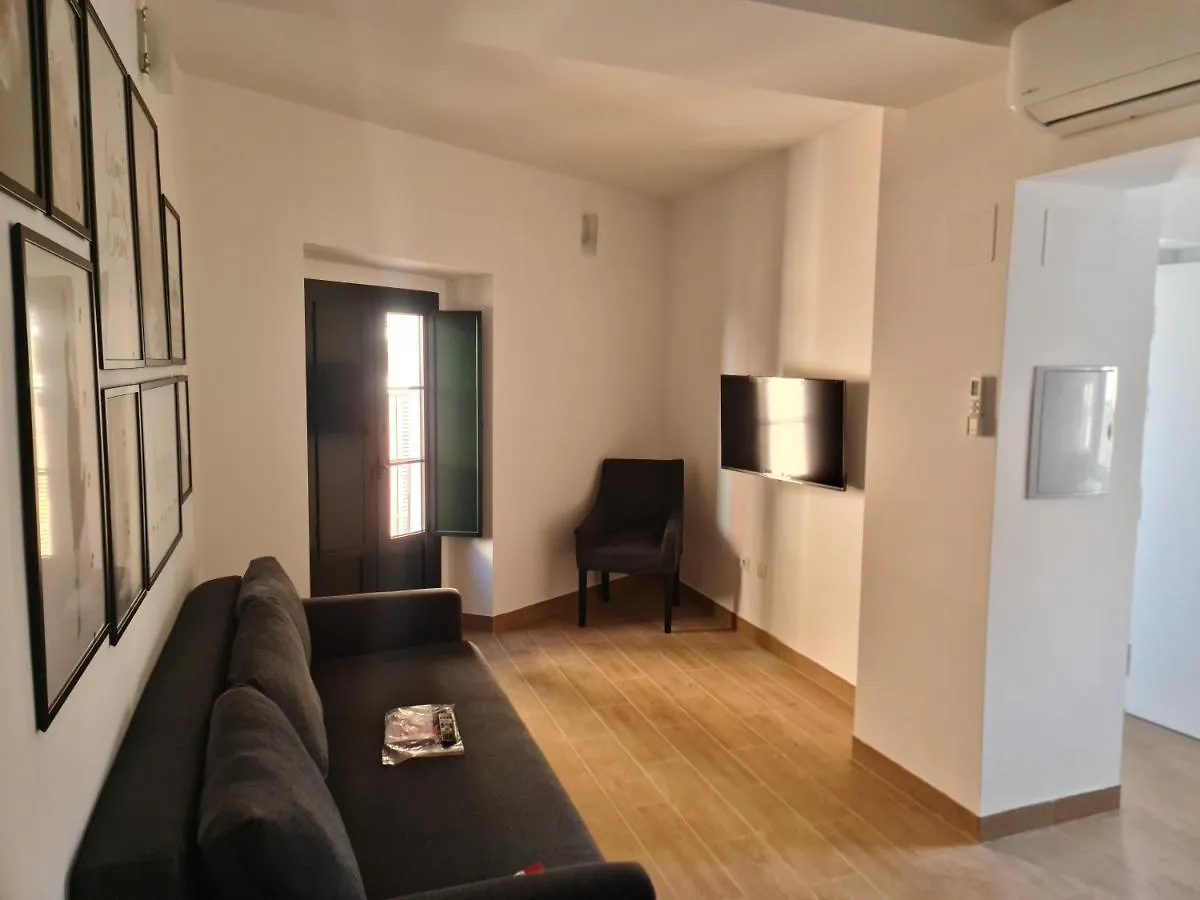 Casa Plaza De San Roman Seville Apartment